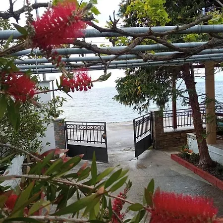 View Sea House